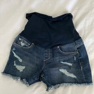 Joes maternity shorts